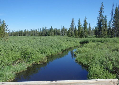 GDMBR: We were near Loon Lake, WY.